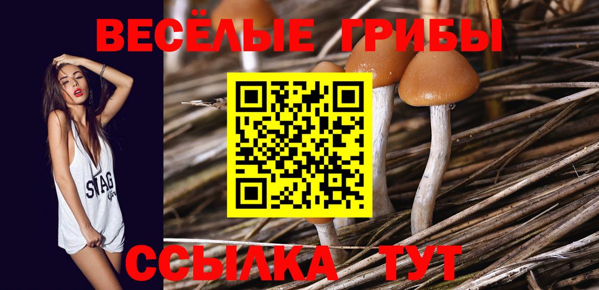 купить   Галлюциногенные грибы GOLDEN TEACHER  Псилоцибиновые грибы мицелий  Вход с VPN  Морозовск 